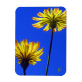 Yellow Dandelions Against Blue Sky Playful Nature Magneet (Verticaal)