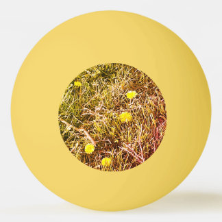 Yellow Dandelions Dart Board Pingpongbal