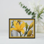Yellow Day Lillies Briefkaart (Staand voorkant)
