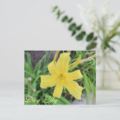 Yellow Day Lily # 1 Briefkaart (Staand voorkant)