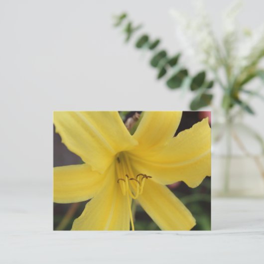 Yellow Day Lily # 2 Briefkaart (Staand voorkant)