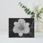 Yellow Day Lily Briefkaart (Staand voorkant)