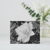 Yellow Day Lily Briefkaart (Staand voorkant)