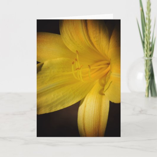 Yellow Day Lily Flower Highlight Note Kaart (Voorkant)