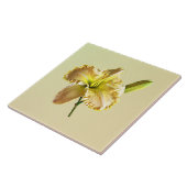 Yellow Day Lily Tegeltje (Zijkant)