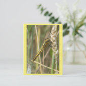 Yellow Dragonfly Close Up DIY Briefkaart (Staand voorkant)