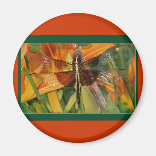 Yellow Dragonfly Magnet (Voorkant)