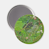 Yellow Dragonfly Magnet (Voorkant / Achterkant)