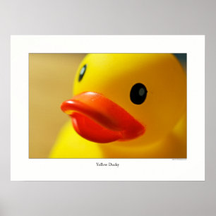 Yellow Ducky Poster