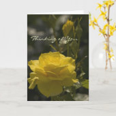 Yellow Evening Roos, Ik denk aan jou Kaart (Gele Bloem)