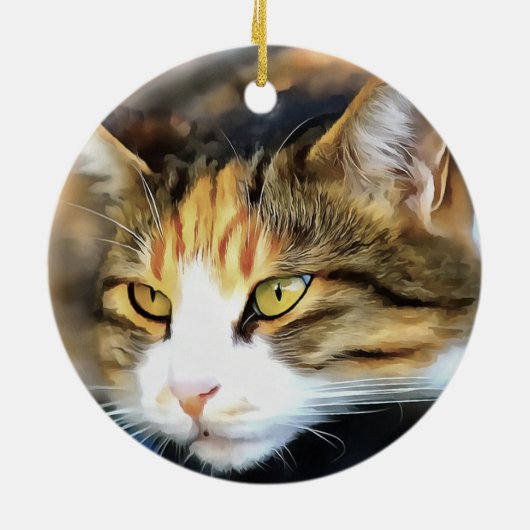 Yellow Eyed Calico Cat Realistic Pet Portret Keramisch Ornament (Achterkant)
