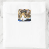 Yellow Eyed Calico Cat Realistic Pet Portret Vierkante Sticker (Tas)