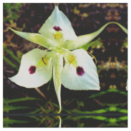 Yellow Fairy Lily Stof