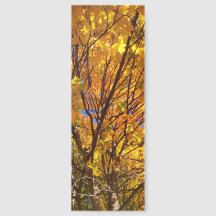 Yellow Fall Foliage