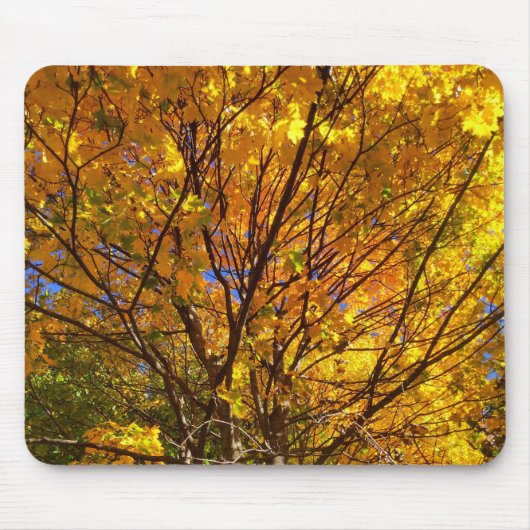Yellow Fall Foliage Muismat (Voorkant)