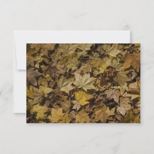 Yellow Fallen Leaves Wedding RSVP Response Kaart (Achterkant)
