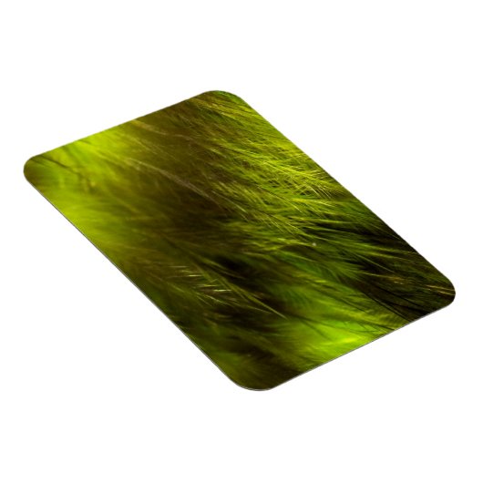 Yellow Feathers Magneet (Rechterzijde)