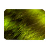 Yellow Feathers Magneet (Horizontaal)