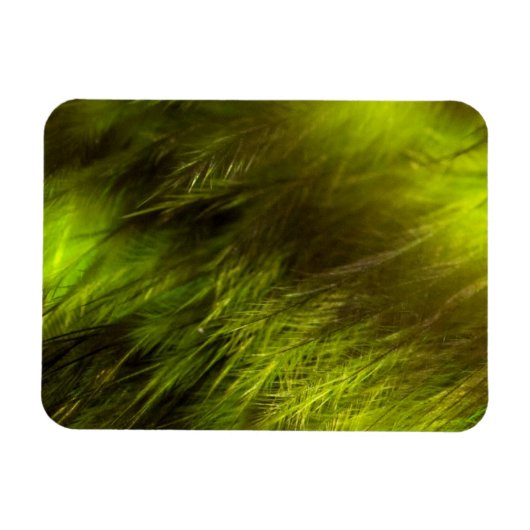 Yellow Feathers Magneet (Horizontaal)