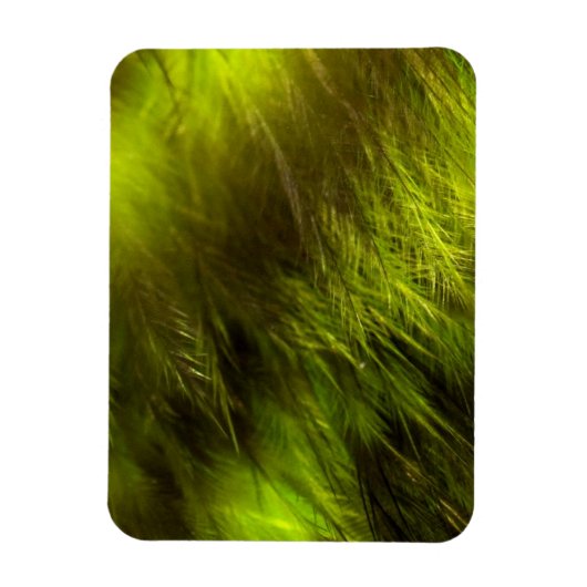 Yellow Feathers Magneet (Verticaal)