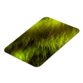 Yellow Feathers Magneet (Linkerzijde)