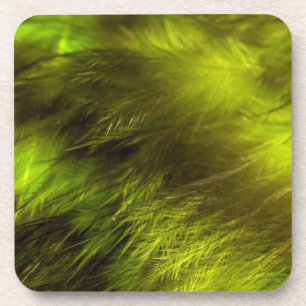 Yellow Feathers Onderzetter