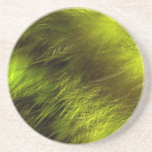 Yellow Feathers Zandsteen Onderzetter (Voorkant)