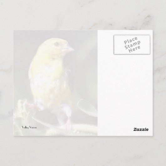 Yellow Finch Briefkaart (Achterkant)
