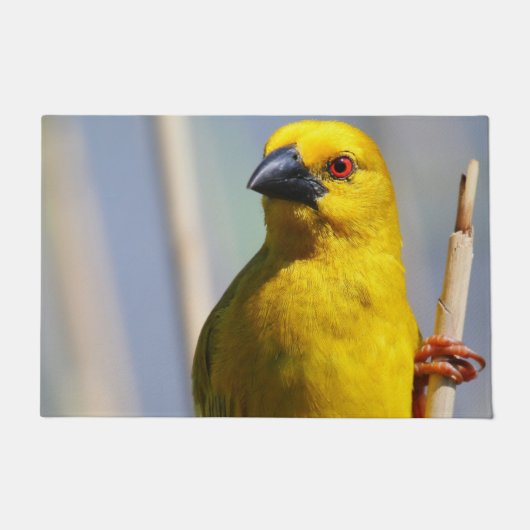 Yellow Finch Deurmat (Voorkant)