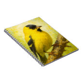 Yellow Finch Notebook | Goldfinch Bird Art Journal Notitieboek (Rechterzijde)