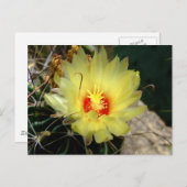 Yellow fishhook cactus flower briefkaart (Voorkant / Achterkant)
