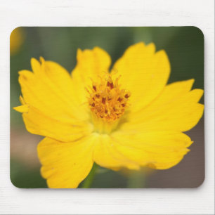 Yellow Floral Mousepad Muismat