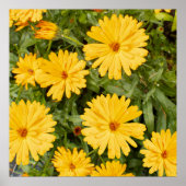 Yellow Floral Poster (Voorkant)