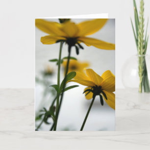 Yellow Flower Bidens Niet Wegdraaien GC Kaart