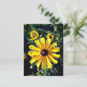 Yellow Flower Black-Eyed Susan Briefkaart (Staand voorkant)