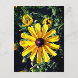 Yellow Flower Black-Eyed Susan Briefkaart