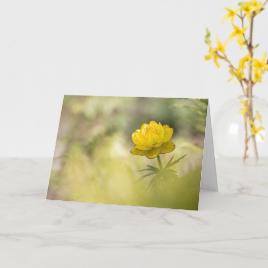 Yellow Flower Buttercup Kaart (Gele Bloem)