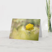 Yellow Flower Buttercup Kaart (Voorkant)