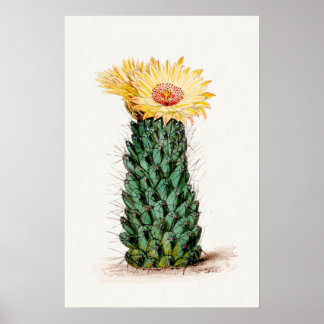 Yellow Flower Cactus Sketch Art Poster