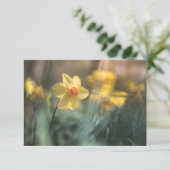 Yellow Flower Daffodil Natuur Fotokaart (Staand voorkant)
