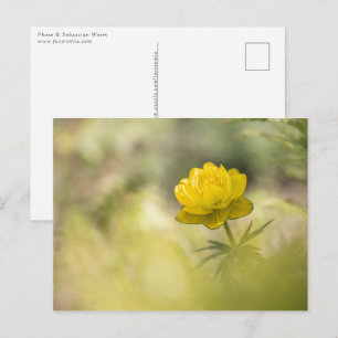 Yellow Flower Natuur Foto Briefkaart