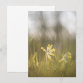 Yellow Flower Natuur fotokaart (Voorkant / Achterkant)