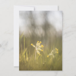 Yellow Flower Natuur fotokaart