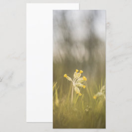 Yellow Flower Natuur fotokaart