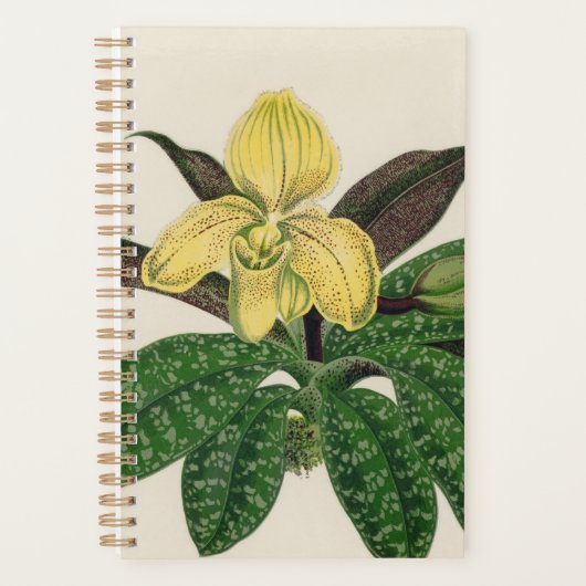 Yellow Flower Plant Gift Planner (Voorkant)