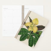 Yellow Flower Plant Gift Planner (Display)