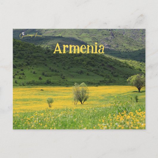 Yellow Flowers and Mountainside Armenia Briefkaart (Voorkant)