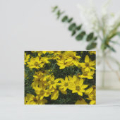 Yellow Flowers Briefkaart (Staand voorkant)