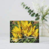 Yellow Flowers Briefkaart (Staand voorkant)