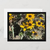 Yellow Flowers Briefkaart met zwarte rand (Voorkant / Achterkant)